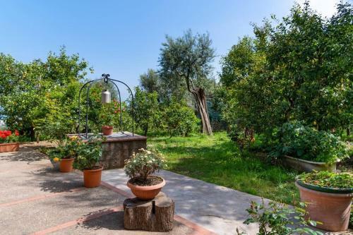 Sea View Rooftop Apartment With Jacuzzi & Garden
