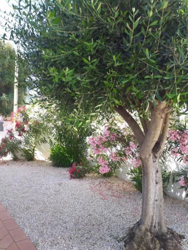 Apartamento Residenza Efisio