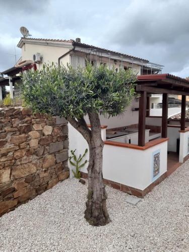Apartamento Residenza Efisio