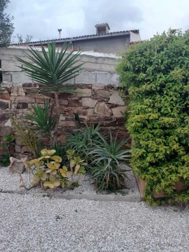 Apartamento Residenza Efisio