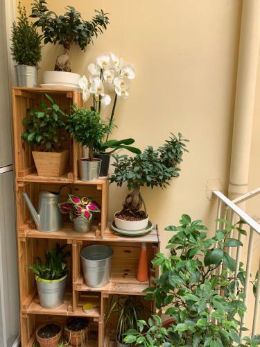 Bed & Breakfast Raroom Boutique