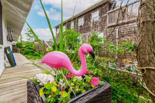 White Flamingo