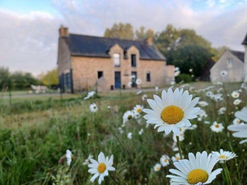 Bed & Breakfast Au Petit Bonheur de Claire Et Jo