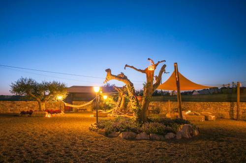 Bed & Breakfast Coppola Di Seta