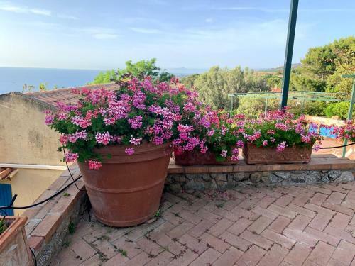 Casa Stromboli