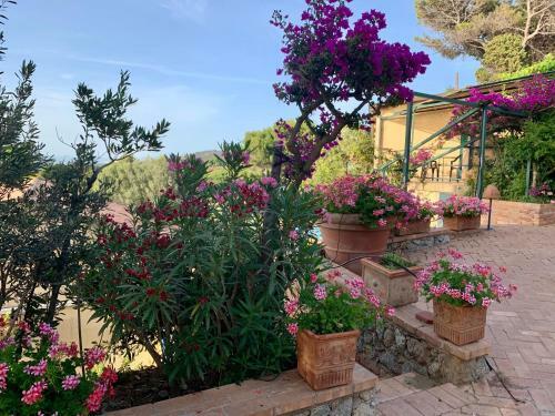 Casa Stromboli