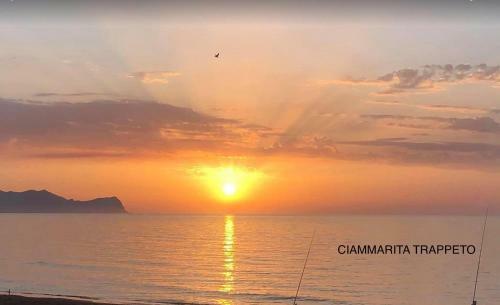 Apartamento Casa Viola - Due Appartamenti A 100 Metri Dal Mare