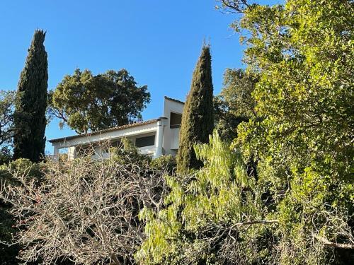 Villa Contemporaine Rayol Canadel