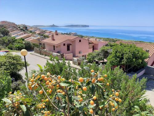 Apartamento Il Giglio Vista Mare Num Iun Q6084