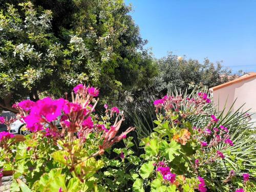 Apartamento Il Giglio Vista Mare Num Iun Q6084