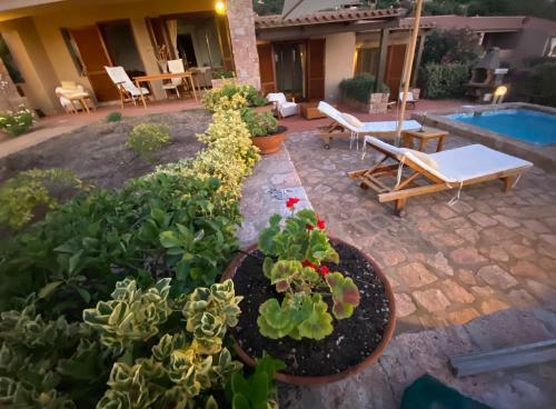 Villa Alice-infinityholidays