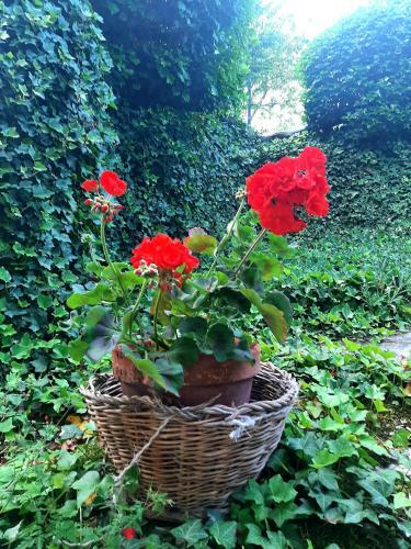 B&B Degli Allori