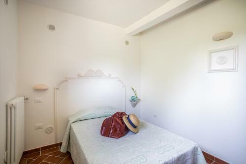 Agroturismo Agriturismo Sant Elmira