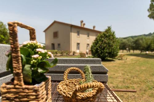 Agroturismo Agriturismo Sant Elmira
