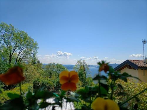 Apartamento Ul Ciabot - Rustico E Confortevole Sulla Collina Di Verbania