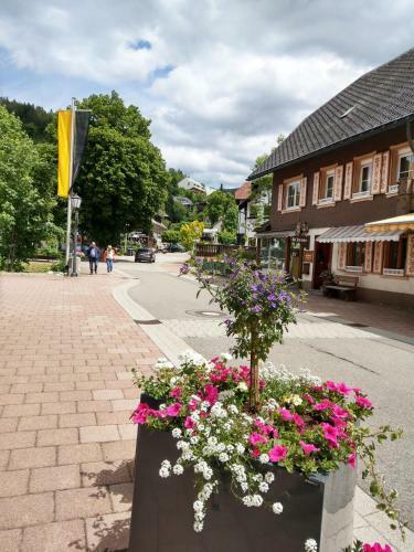 Apartamento Ferienwohnung Waldrand