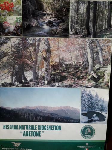 Apartamento Appennino Toscano Abetone Cutigliano