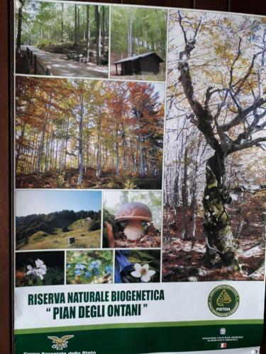 Apartamento Appennino Toscano Abetone Cutigliano