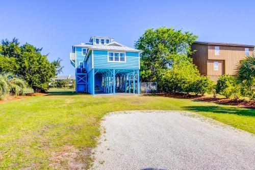The Blue Pelican