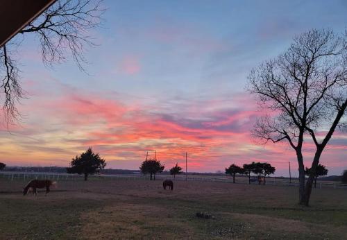 Modern Ten Acre Horse Ranch-walk To Lake Ray Robert