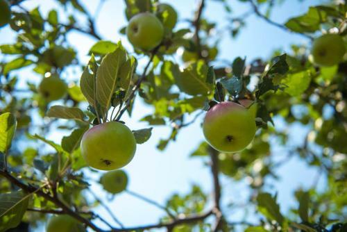 Hotel Srakovcic Heart Of Nature
