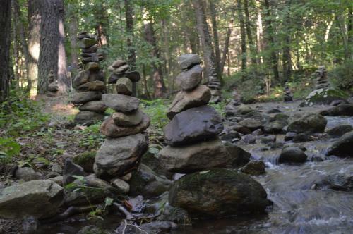 Hostal Shadow Mountain Escape Cabin Rentals