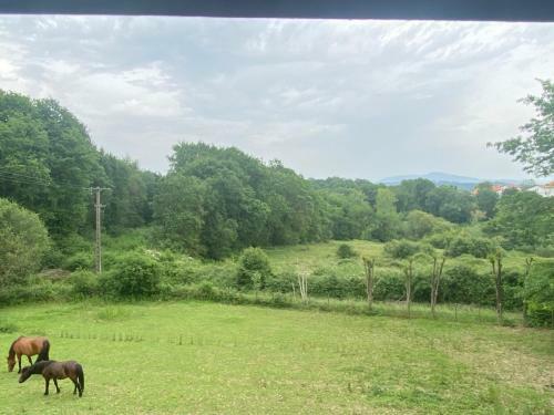 Apartamento Appartement Ind�pendant Dans Belle Maison Basque