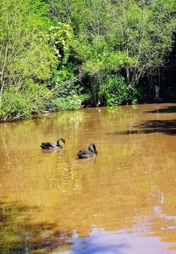 Tout Le Confort Au Milieu D'un Parc Botanique