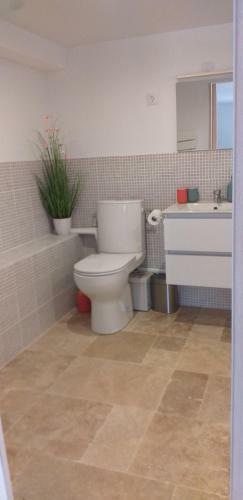Apartamento Le Pin Bleu