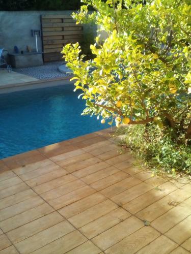 Hostal Suite Spa Privatif Ext�rieur 66 Perpignan Nord
