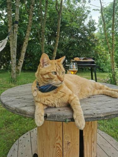 Charmante Maisonnette En Pleine Nature Entre Beauce Et Perche