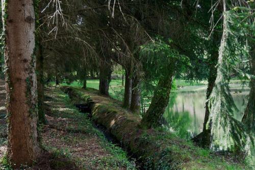 Hostal Manoir De Chantemerle