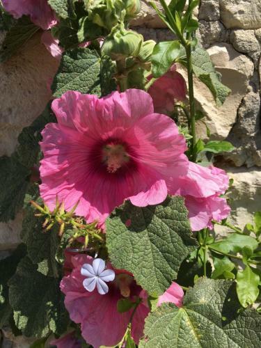 Bed & Breakfast Le Soleil Do' R�