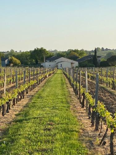 Bed & Breakfast M De Maumey