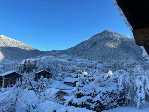 Chalet Olimon