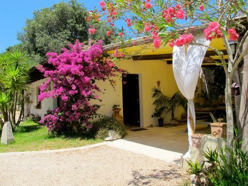 Alba Bed & Breakfast