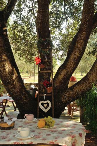Alba Bed & Breakfast