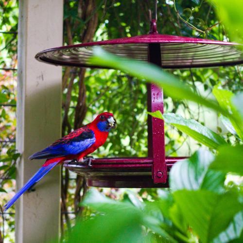 Lodge Mt Glorious Getaways