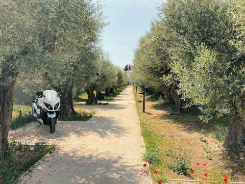 Apartamento Appartement Type Industriel Dans Cadre Proven�al