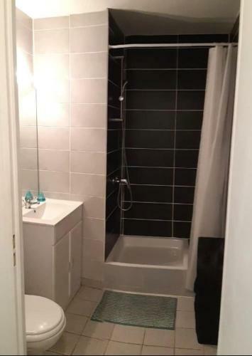 Apartamento Studio Dans La Ville Rose de Toulouse