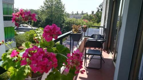 Apartamento Les Floden