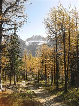 Moraine Lake Lodge