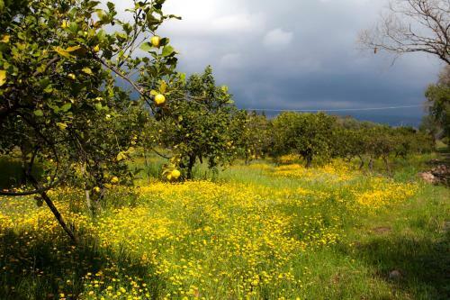 Agroturismo Il Melograno