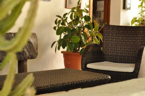 Hotel Albergo Seaside