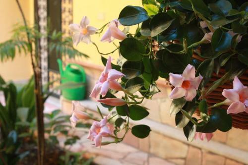 La Magnolia B&B