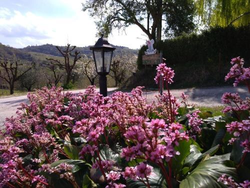 Agroturismo Le Spighe Agriturismo