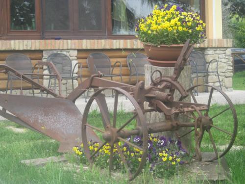 Agroturismo Le Spighe Agriturismo