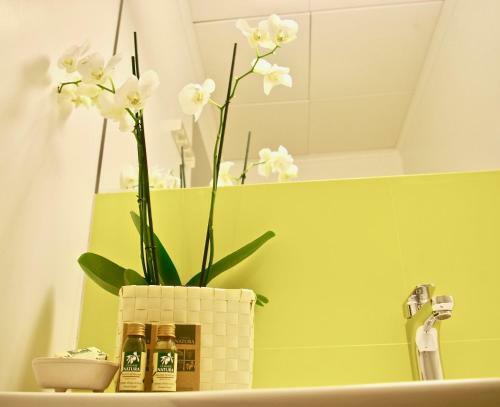 Aparthotel La Scibina