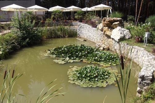Gosztola Gy�ngye Wellness Hotel