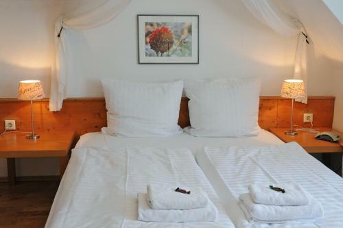 Hostal Pension Bella Vista